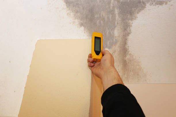 Best Real Estate Mold Inspection  in Seaside Park, NJ